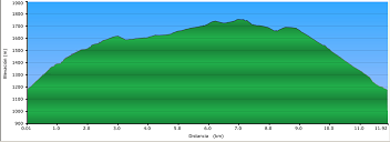 Perfil de la ruta